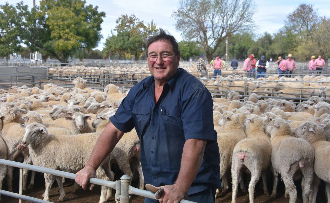 ULTRA WHITE: Andrew Donnan, Anden White Suffolk stud, Woomelang, sold first-cross Border Leicester/Merino one-year-old ewes to $306.