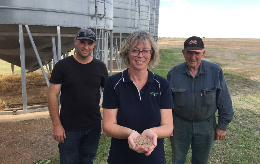 Horsham district farmers Peter and Jeff Moore together with Agriculture Victoria research scientist Cassandra Walker.