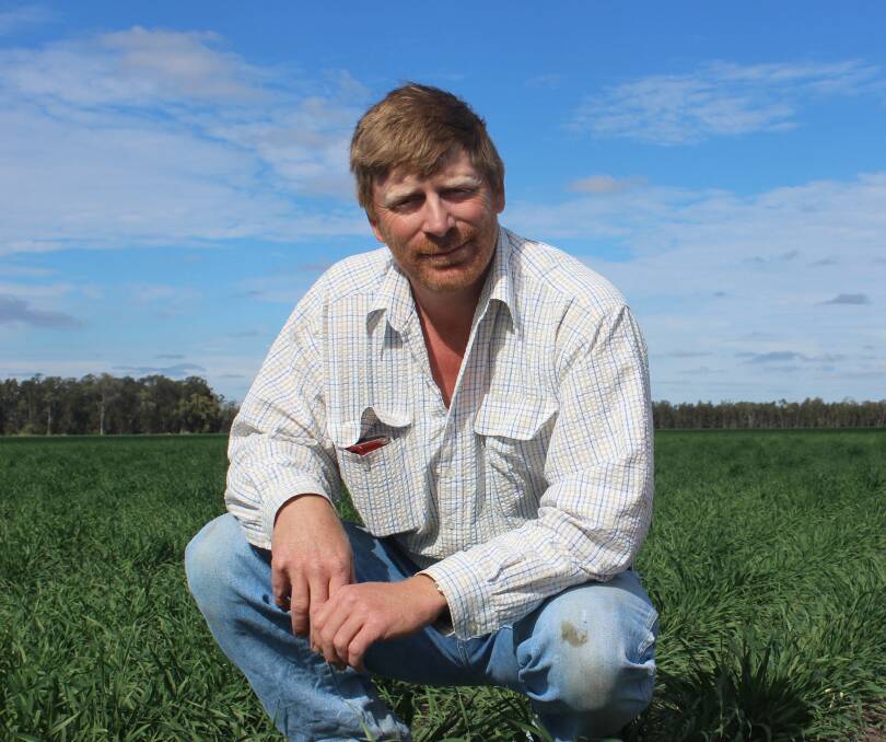 Brendan Taylor, AgForce grains section president, is hoping for good volumes of high protein wheat in Queensland this harvest.