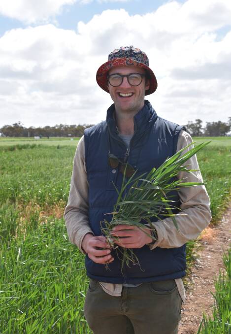 LaTrobe University researcher David Cann is working on winter wheats suited to low rainfall zones.