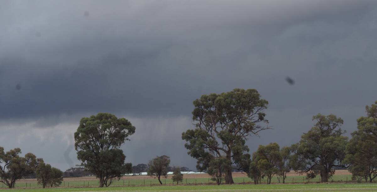 There has been welcome rain over the nation's cropping belt in the past fortnight.