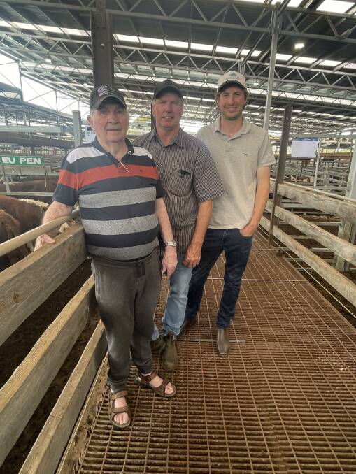 Kevin Chandler with son-in-law Paul Malseed and grandson Rhys Malseed, Orana Partnership, Breakaway Creek, south-west of Hamilton, at Wednesday's Hereford / Euro breeds weaner sale. The Orana Partnership enjoyed strong sales on the day.