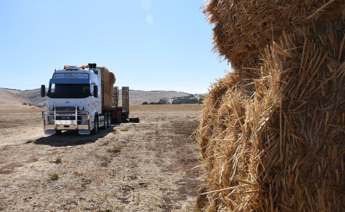 Farm leaders are broadly supportive of the idea of a fodder stocks register but some growers feel the idea would see them handing over information for nothing in return.