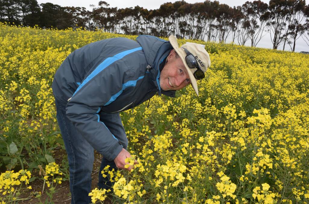 DISEASE DECISIONS: Steve Marcroft, Marcroft Grains Pathology, says farmers need to make their blackleg management decisions on a case by case basis.