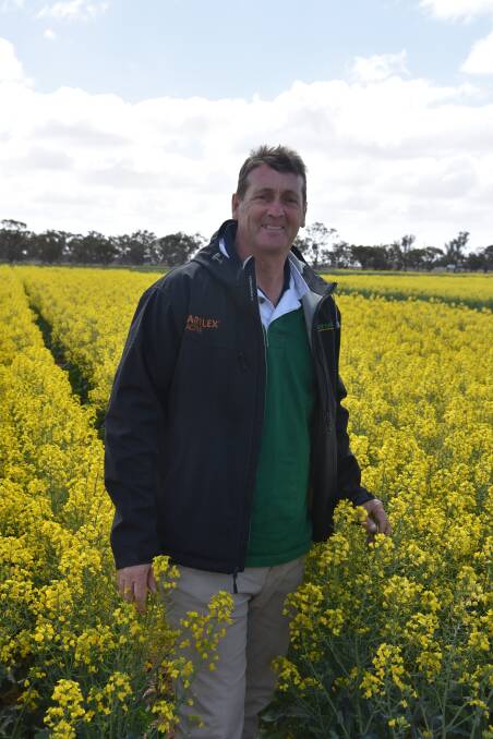 Greg Toomey, Landmark Elmore, says there is no greater risk of nitrate poisoning from canola hay than with any other high protein fodder product.