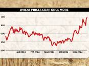 Wheat prices on the Chicago Board of Trade have kicked strongly in the last month.