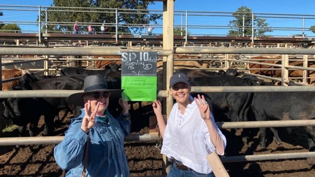 Recognition: Andy and Emma Cook at the 2021 Clermont Show where the family picked up a second place and two third place ribbons for their Santa Gertrudis-Angus steers in the commercial cattle section.