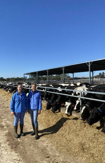 Amy and Karen Litchfield on Kariana with a selection of their Holstein dairy herd with their Allflex collars installed. 