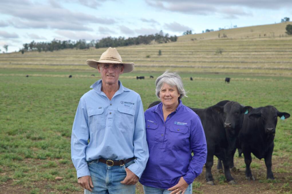 Trevor and Colleen Jorgensen of Belview Brangus, at Myall Creek, New South Wales, are celebrating 40 years of Brangus breeding in 2023. Picture supplied