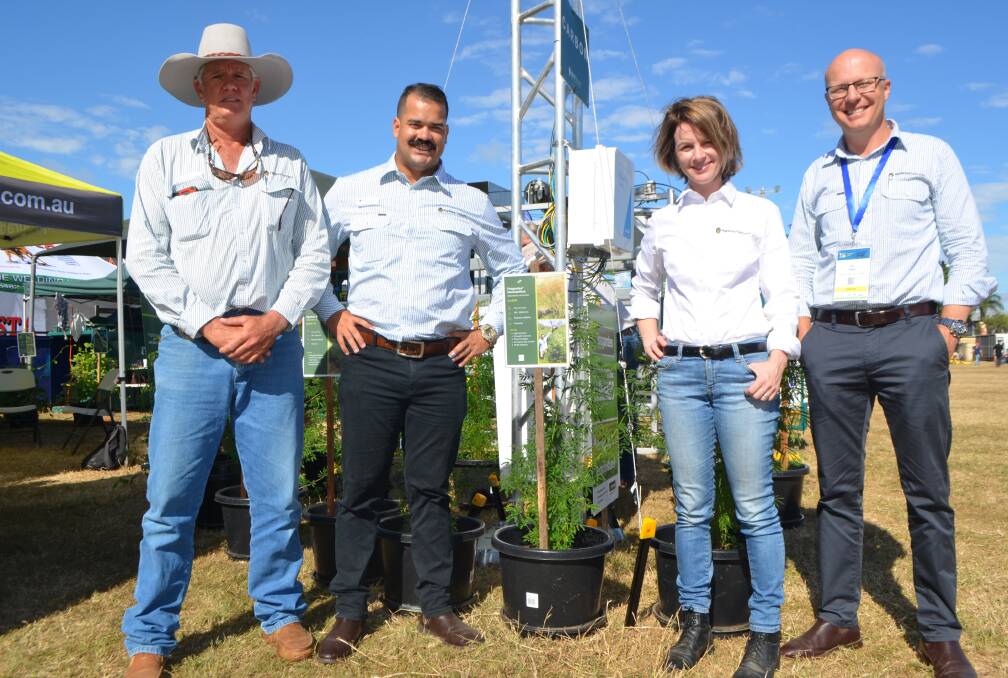 Raising awareness: Agrimix Pastures' territory manager Greg Campbell, agriculture consultant Heitor Fleury, marketing manager Chloe Kempe, and CEO Ben Sawley at Beef Australia 2021.