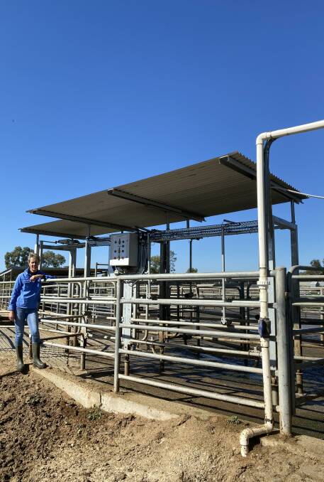 Smart gate: Karen Litchfield said their Allflex draft gate allows them to draft cows with incredible precision.