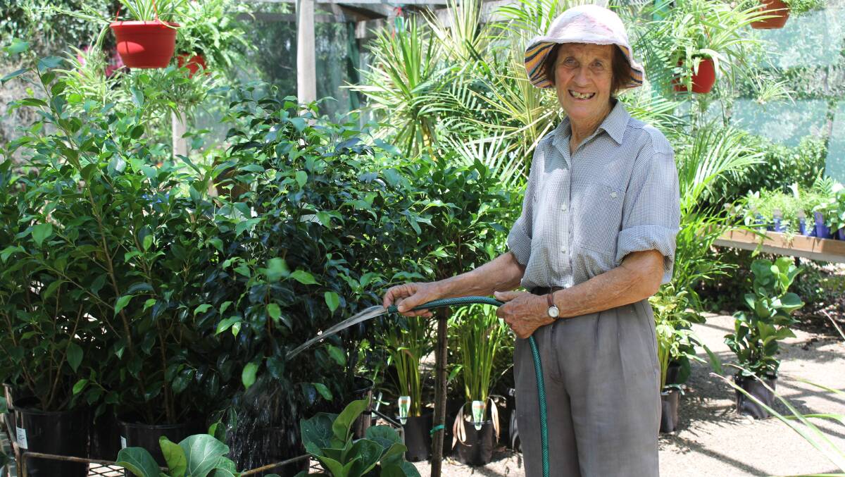 Carolyn Osmond recommends water, water and more water to keep plants from dying in this heat.