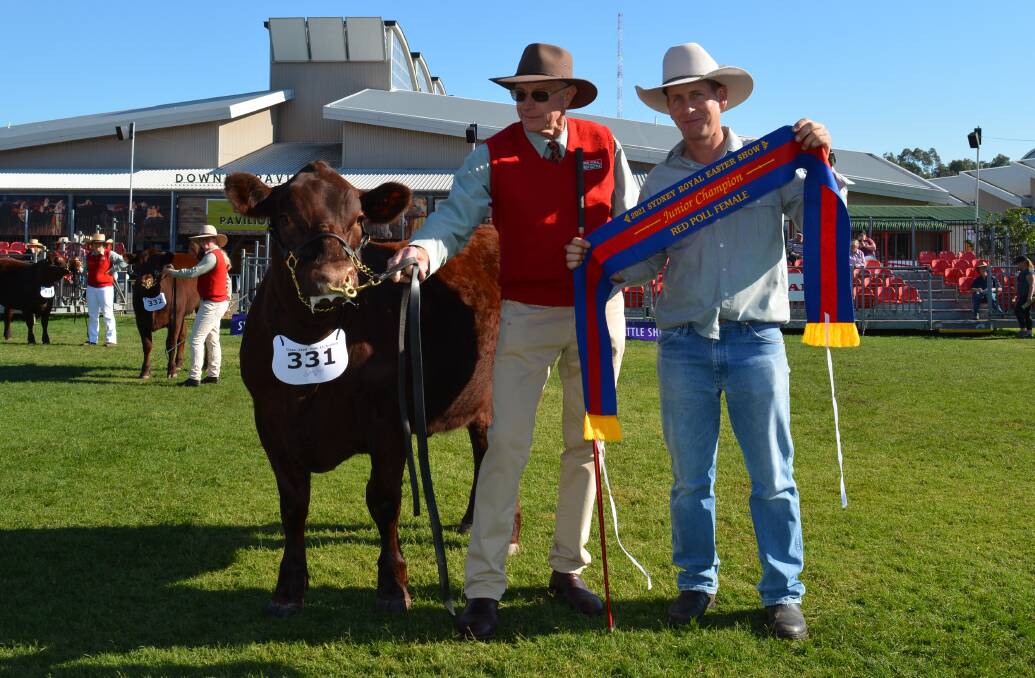Junior champion female, Red Cactus Joclyn, with owner Ross Draper, Red Cactus Red Polls, Arthurs Creek, Victoria, and NSW Red Poll secretary Garrick Mulcahy, Babana stud, Kurrajong.