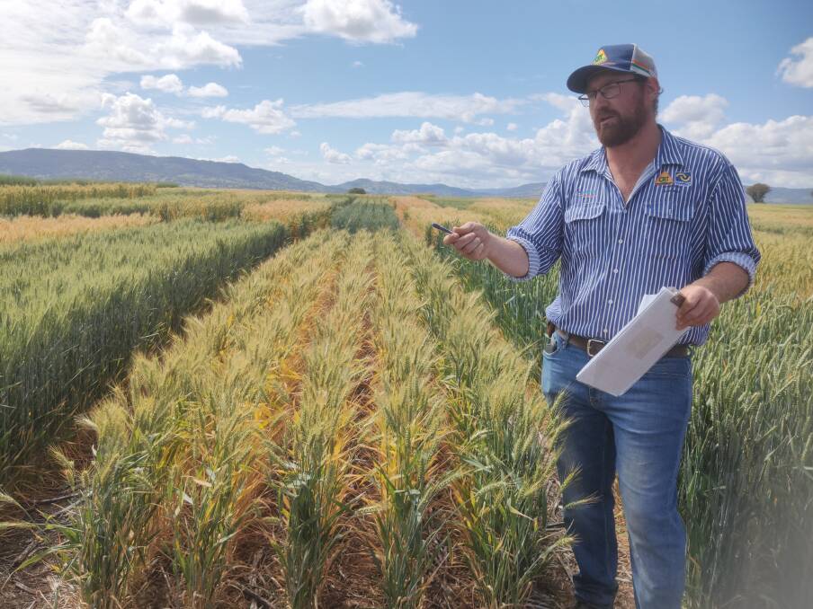 Haynes Rural Supplies agronomist, Tyler Austin, Coolah, stresses at a recent field day the importance of maximising stored fallow moisture for most profitable crop production.