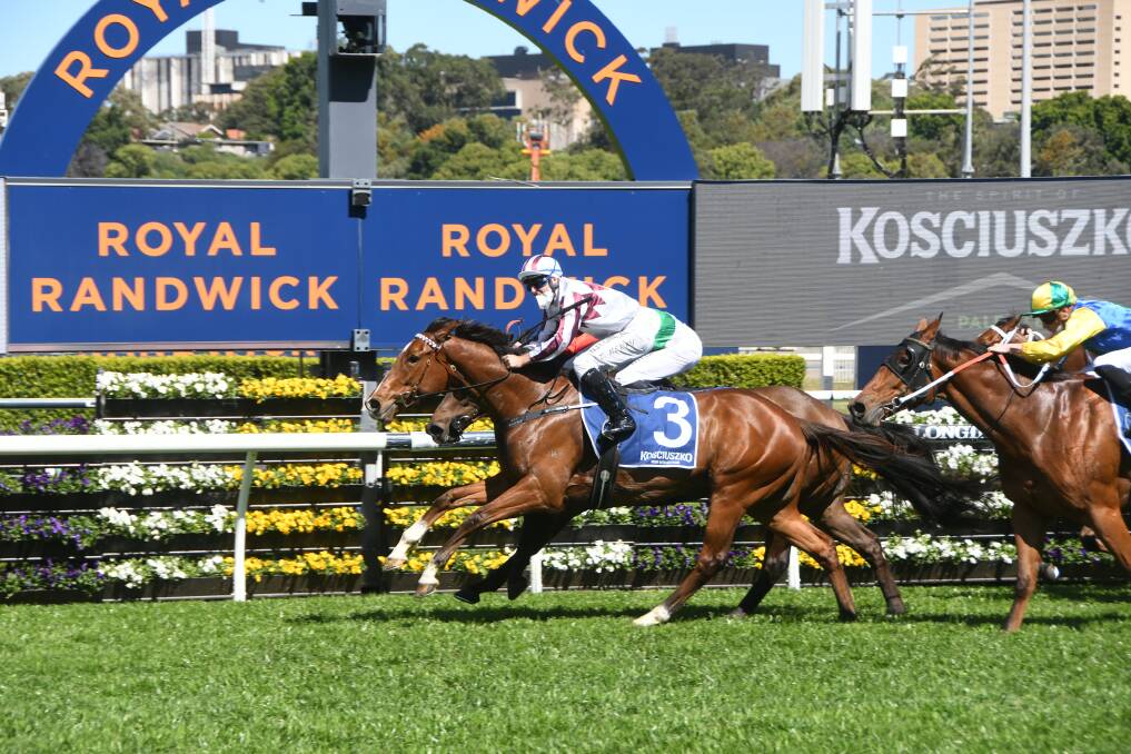 Art Cadeau with Tommy Berry up wins the country trained gallopers only race $1.3 million The Kosciuszko at Randwick last year. Photo: Virginia Harvey