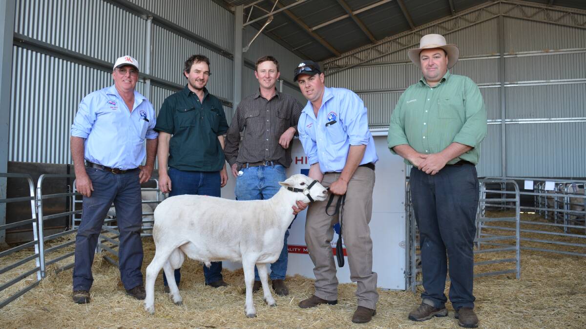 Co-vendor, Robert Endacott, Red Hill Australian Whites, with buyers and brothers, Tom and Ben Johnstone, Woodstock, Mr Endacott's son, Ethan, and auctioneer, Brad Wilson, Landmark stud stock.