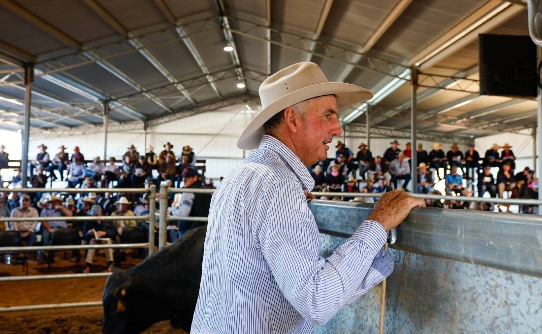 Ben Mayne, Texas Angus, Warialda, during his family's $28,055 record-breaking sale average last Thursday. Photo: Danni MacCue