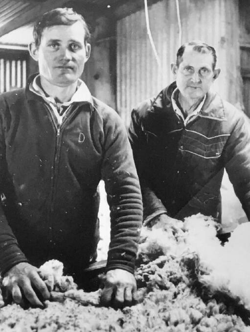 David Wilson and his father, Keith, in the "Glen Lee" woolshed during the 1980s. The family continued to run Merinos until Keith's death in 1998, when the workload with wool and maintaining their highly successful horse stud meant something had to give. 