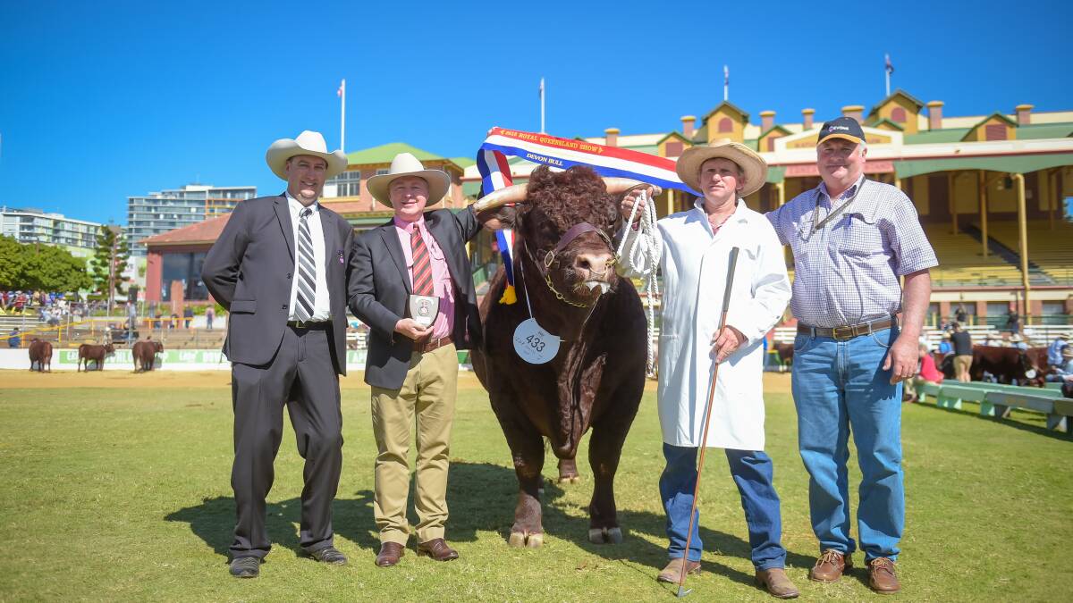 Ross Edwards, Mullaley, with the grand champion Devon bull, Vix Lodestone L243, exhibited by Vix Stock Breeding, Mullaley.