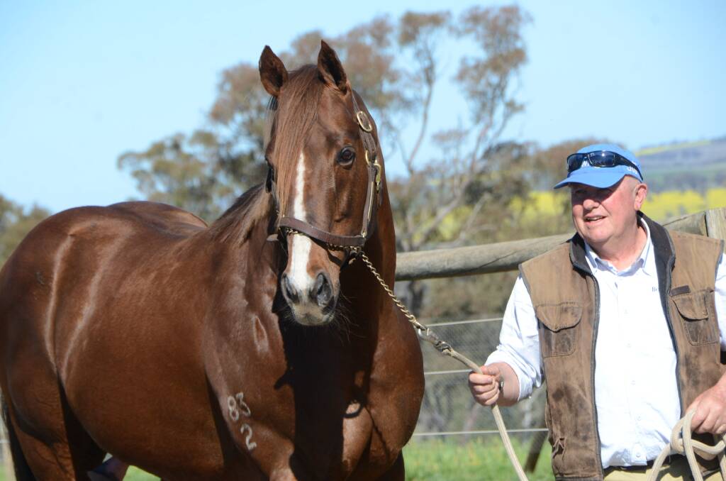 Bowness Stud principal John North and prominent stallion Bon Hoffa, who sired new stakes winner when Noble Boy won the Winter Stakes-LR at Rosehill last Saturday. The Danzig grandson has featured in the Sires Of The Season (which is next week) for many years. Photo: Virginia Harvey