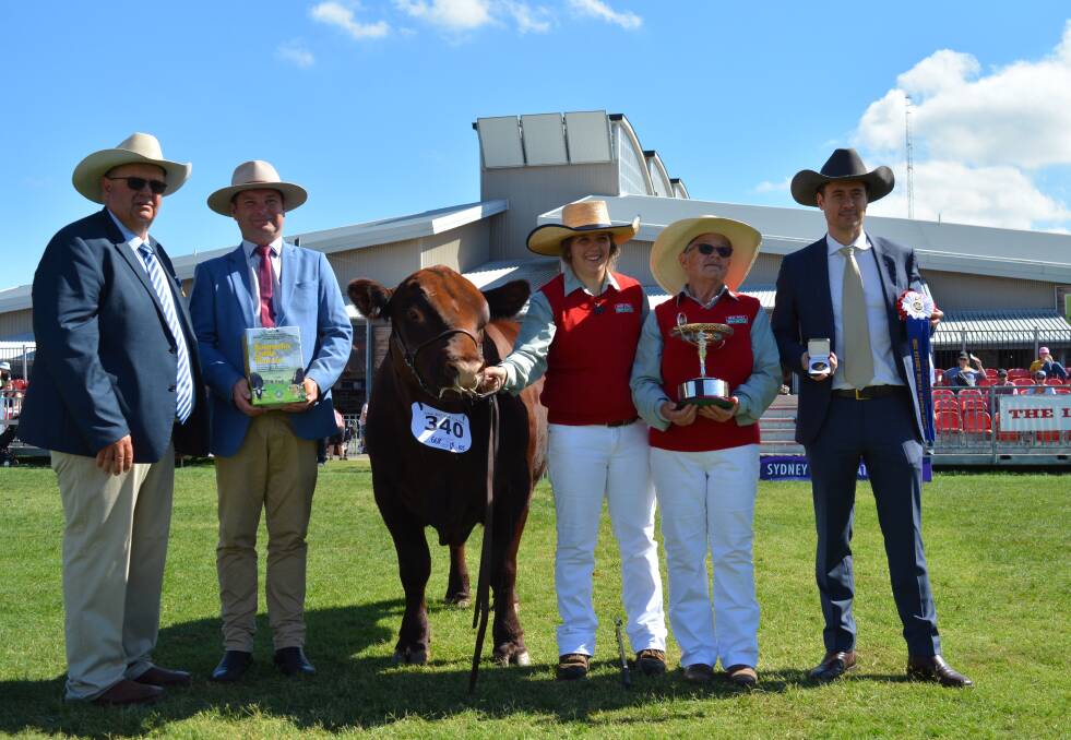 Junior and grand champion Red Poll bull and best exhibit, Red Rush Prince Louis, with judge Tim Bayliss, Dorrigo, International Animal Health's national sales manager, Allan Dryden, Chloe Gray, Armidale, Dr Kim Usher, Red Rush stud, Armidale, and Nick Coghlan, Eurimbla Red Polls, Gerogery.