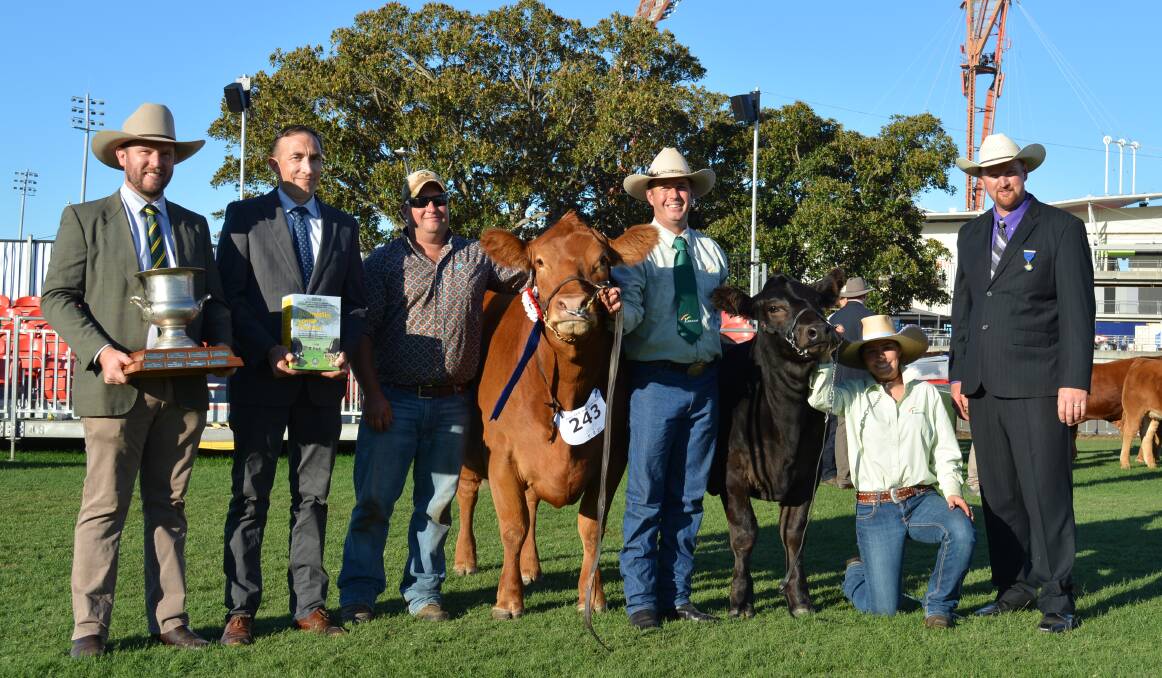 The Limousin best exhibit, Progress Perfect Storm P5, with her heifer calf and Shannon Lawlor, International Animal Health, with Ben Lawrence, also of IAH, Hayden Green Summit Livestock, Uranquinty, Peter Klystra, Progress Limousins, Yanco, Olivia Jury, Wagga Wagga, and judge Tim Lord, Kangaloon.