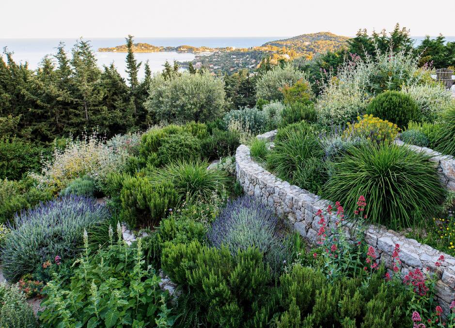 Les Cypres, Villefranche-sur-mer, Provence. Garden designed by James and Helen Basson to use zero irrigation. (Image (c)Claire Takacs, Phaidon Press, London).