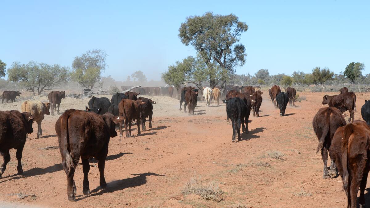Drought support, charity re-think needed