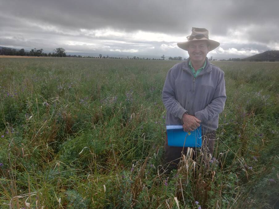 James McMaster, Hillside, Leadville (near Dunedoo), during October while checking a four-year-old lucerne stand growing successfully with Premier digit grass. Lucerne can fix around 25kg/ha of nitrogen for every 1t/ha growth.
