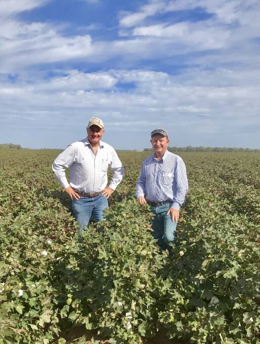 Cotton Australia chief executive officer, Adam Kay, with Cotton Research and Development Corporation executive director Bruce Finney.