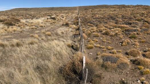An Ovis 21 network-managed farm on the left and traditional grazing and environmental management on the right in the Patagonian region. Photo: Ovis 21
