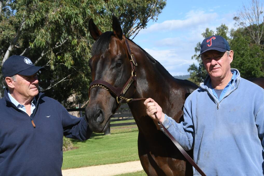 Australian heavy-weight sire, I Am Invincible, with Yarraman Park, Scone, directors and brothers Arthur and Harry Mitchell, who are among vendors backing Inglis offering their draft of horses at the online Round 1 auction of the Australian Easter Yearling Sale which begins Sunday. Photo: Virginia Harvey