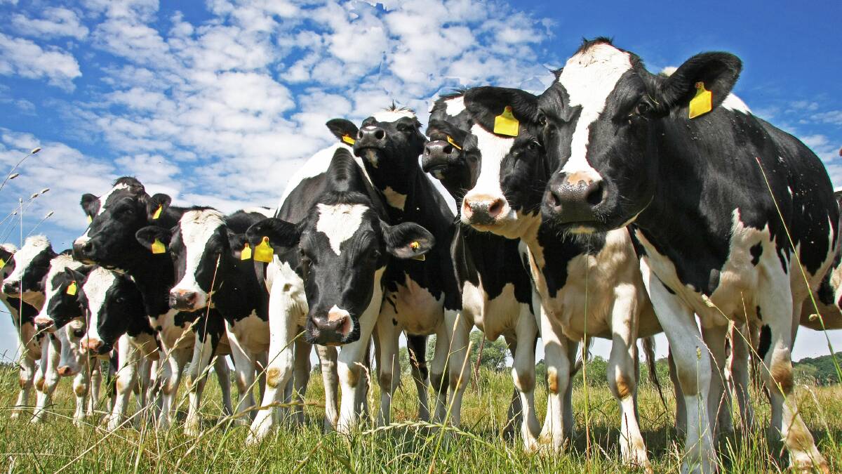 Is foreign investment a benefit for dairy?