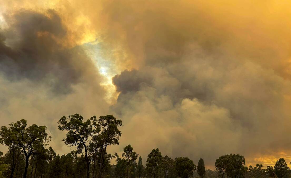 Billowing smoke rises from the Duck Creek fire in the Pilliga forest before rain arrived this week. Disaster support is now available for those effected by the blaze.