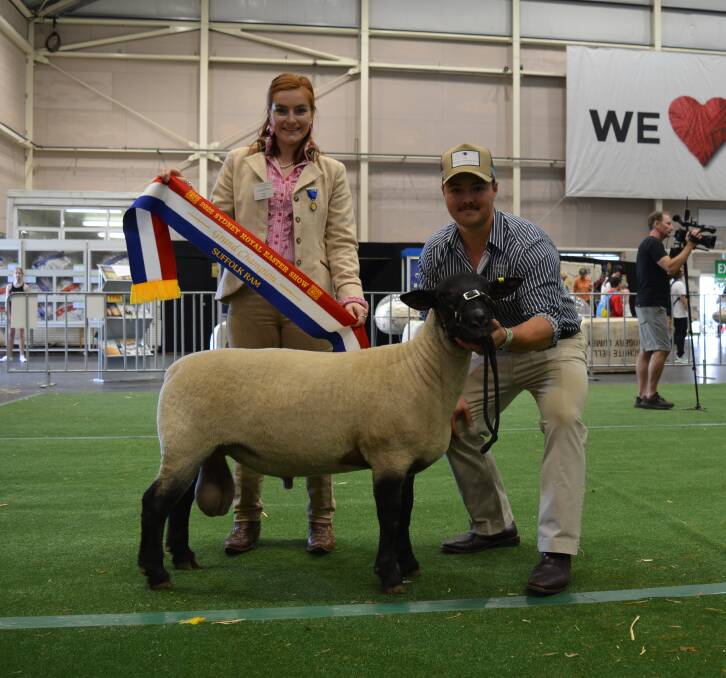 Suffolk judge, Charlotte Close, Corowa, sashes the grand champion ram, Lindean 10, exhibited by Reece Webster, Lindean, Bathurst. 
