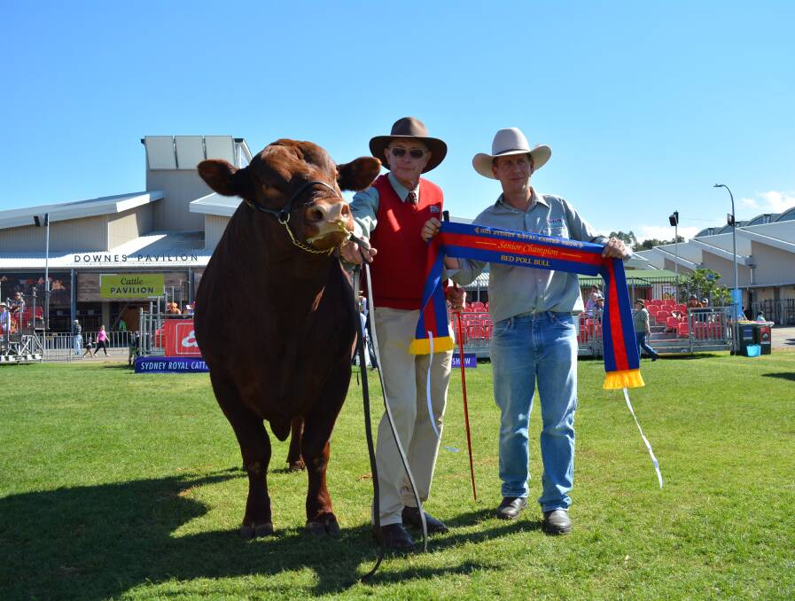 Senior champion bull Red Cactus Mac, with owner Ross Draper, Red Cactus stud, Arthurs Creek, Vic, and NSW Red Poll secretary, Garrick Mucahay, Babana stud, Kurrajong.