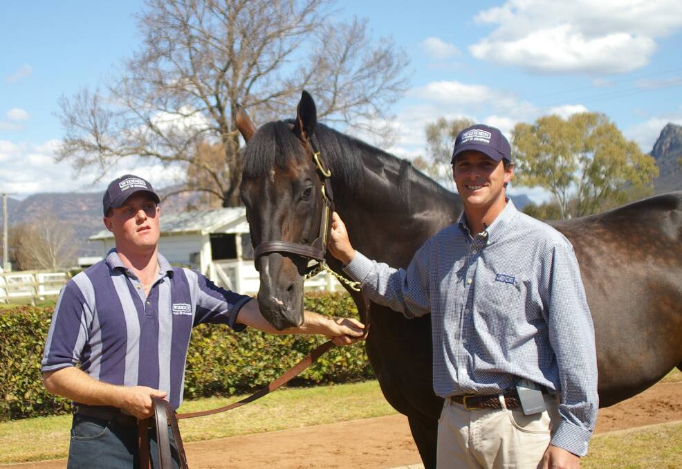 Stallion handler Luke O'Shea and Widden Stud principal Antony Thompson with Anabaa (during parade week in 2005) a Danzig stallion who shuttled to the Widden district property in the early 2000s. Photo: Virginia Harvey