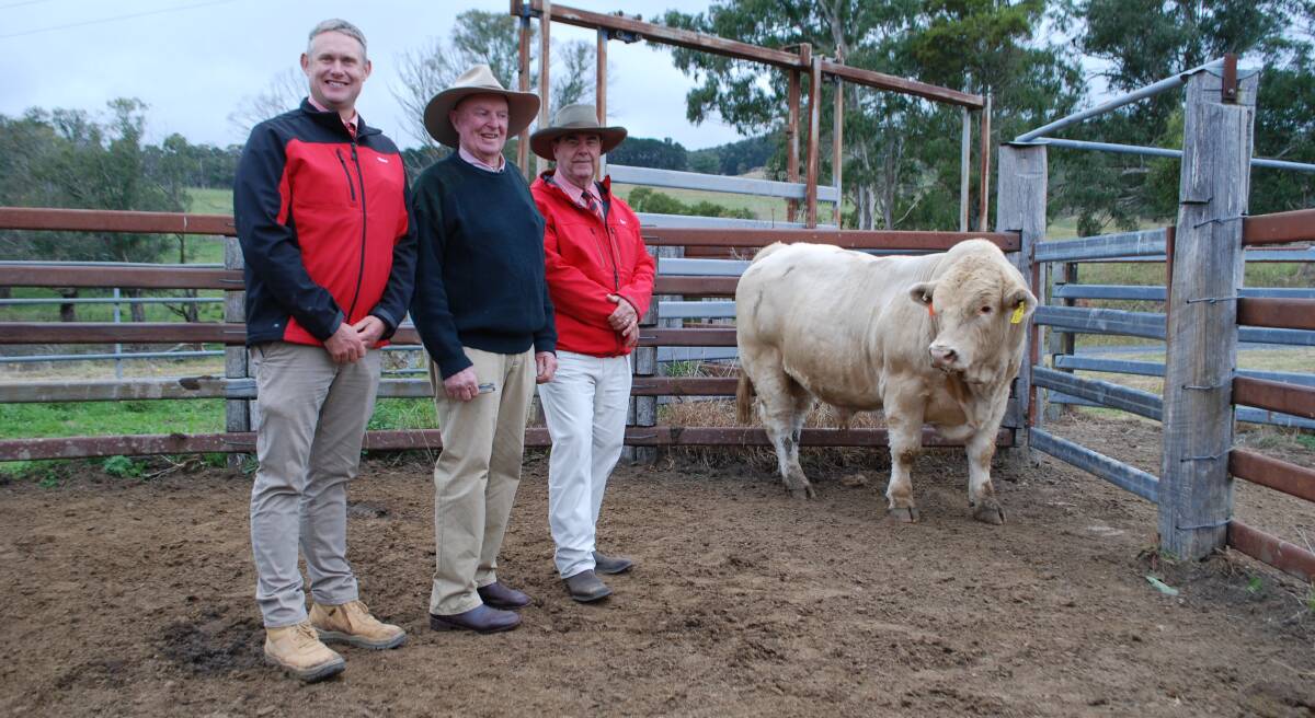 Andrew Bickford, Elders Bathurst, vendor Daryl Jenkins, Violet Hills Charolais, Rydal, Elders' auctioneer Brian Kennedy, Armidale, and the $12,000 Violet Hills Thorpe. Picture by Andrew Norris.