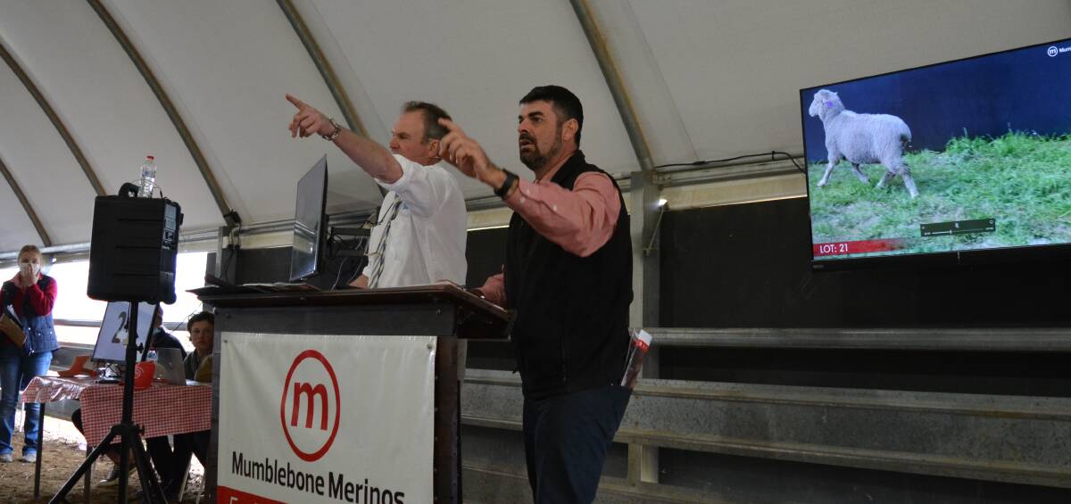 Auctioneers Paul Dooley and Martin Simmons spot an incoming bid while selling the eventual top-priced ram.