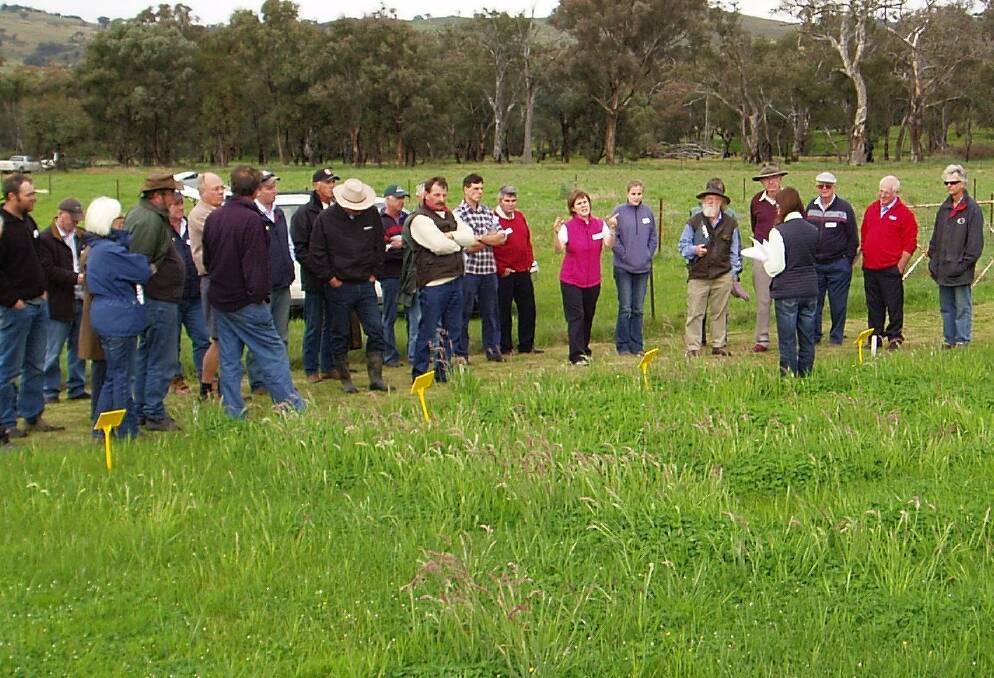 Yass agronomist, Fiona Leech, explains to farmers that growth response was entirely dependent on a given product's ability to supply sufficient sulphur and phosphorus to correct soil deficiencies.
