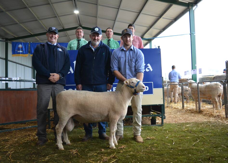 The $10,000 sale topper with (front) Andrew Scott, Valley Vista, Coolac, buyer Chris Roweth, Windy Hill Poll Dorsets, Browns Creek, Luke Scott, Valley Vista, and (back) Tim Woodham and Hamish McGeoch, both of Nutrien Wagga Wagga, and Harry Waters, Elders Gundagai.