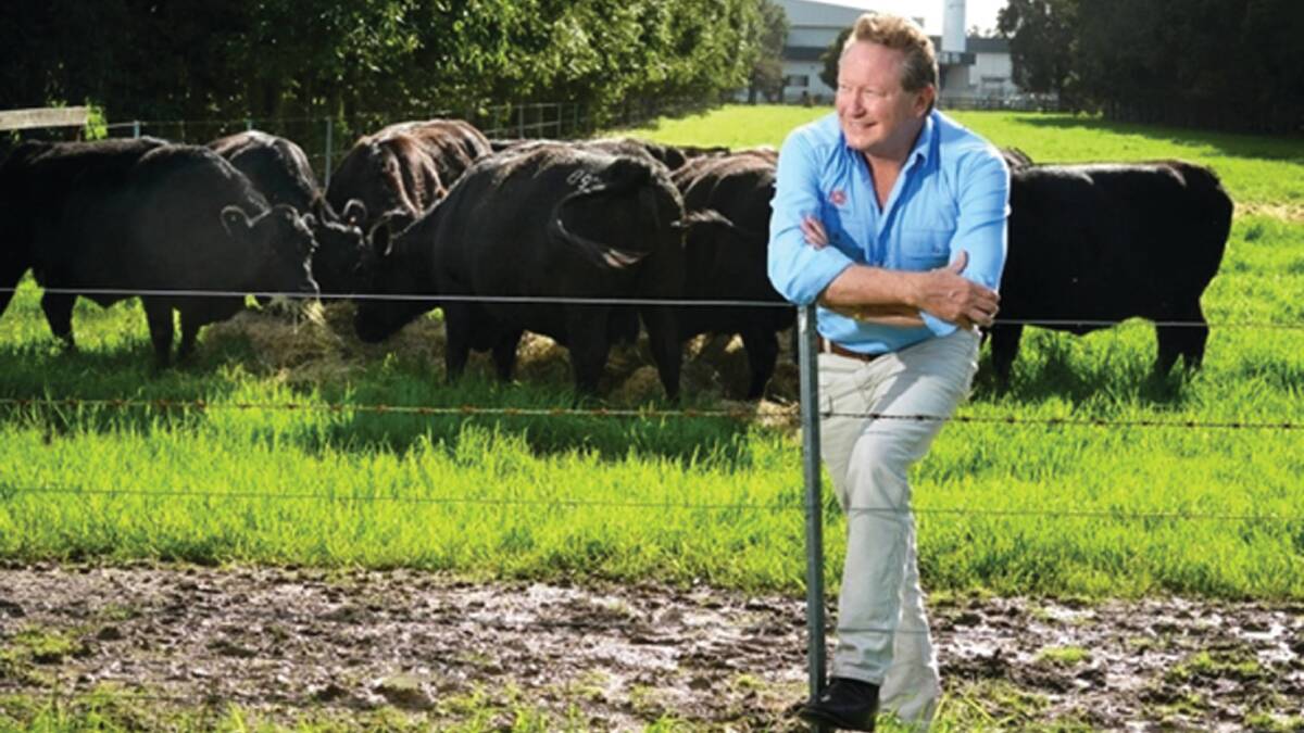 Andrew "Twiggy" Forrest's point that Australia only needs half a per cent of its land mass to be environmentally sustainable through renewable energy fails to consider the affects of where a lot of that infrastructure is being built. Picture supplied.