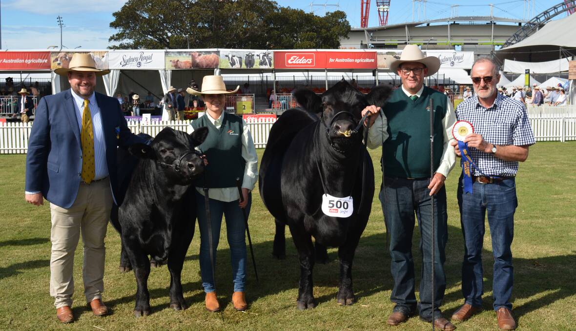 Judge Ben Davies, Myers Master Key T1, Sam Beresford, Myers My Fair Lady, Sam Myers, all of Myers Limousins, Chris Meade, Colac, Vic.
