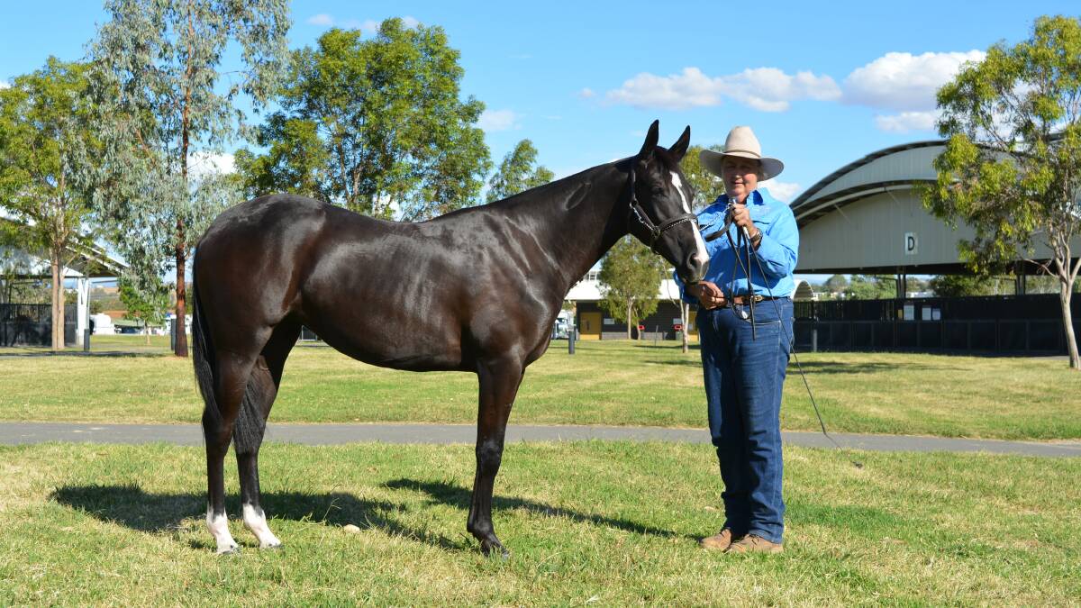 Kayleen Sutton, Sheady stud, Biggenden, Queensland, with the $13,000 sale-topping filly, Sheady Jubilation-LH.