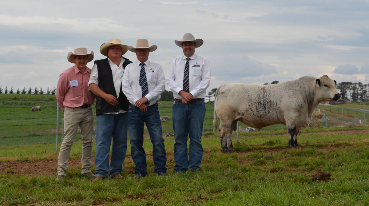 Lincoln McKinlay, Elders stud stock, Dale Humphries, Wattle Grove, Oberon, and Michael Glasser and James Brown, both of Glasser Total Sales Management, with the $68,000 Wattle Grove Paperboy.