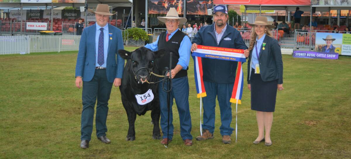 The grand champion bull, Whitby Farm Harrison, with judge Jack Laurie, Gloucester, Ken Lorains, Zeerust, Vic, Australian Lowline Cattle Association vice president, Ashley Barron, also of Merowen Lowlines, Kumbia, Qld, and RAS councillor Ellen Downes, Canowindra.
