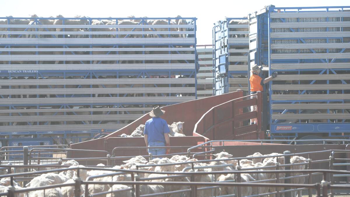 Compliance is RMS’s job, not the saleyards