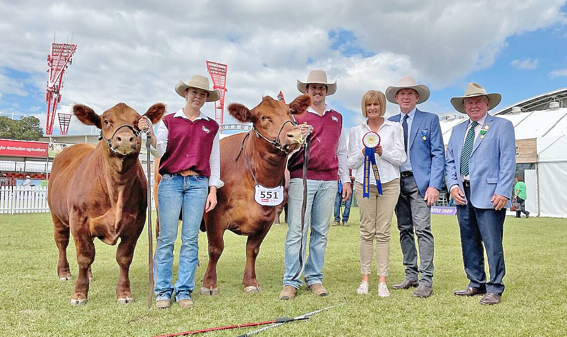 Red Angus best exhibit, Moorwatha S46, with bull calf, Moorwatha MU1, held by Taylah Hobbs, Molong, Mitchell Littler, Molong, Marian Smith and her husband, and judge, David, Ben Lomond, and Michael Millner, Millthorpe.
