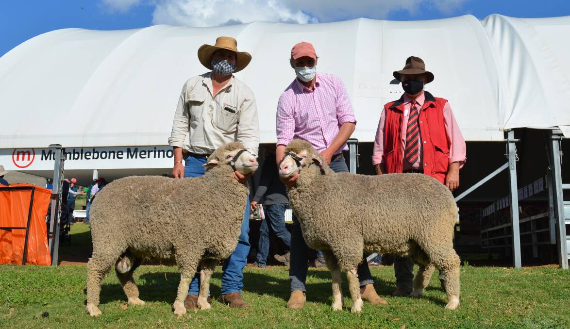 Mumblebone manager Andrew Glover and principal Chad Taylor, with Scott Thrift, Elders Stud Stock, and the $12,000 and $15,000 rams sold to Ulingala, Wellington.