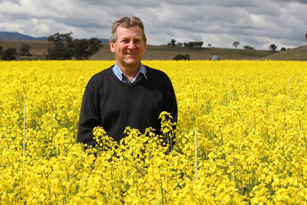 Don McCaffery, NSW DPI technical specialist oilseeds and pulses, and joint author of the recently published 2022 Winter Crop Sowing Guide. Lentils, for the first time, are included.
